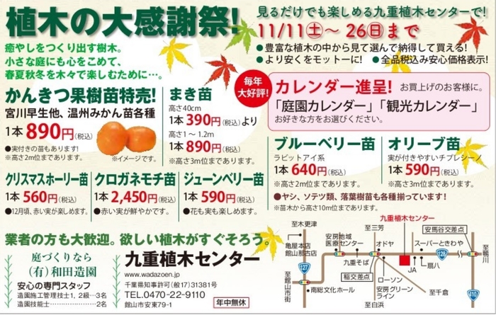 植木の大感謝際
