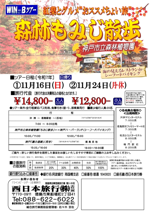 森林もみじ散歩ツアー