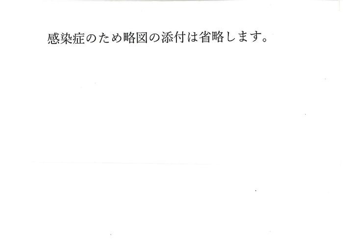 略図